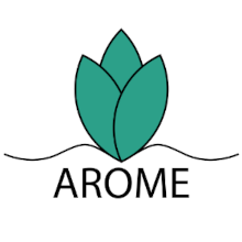https://global-engage.dev-box.info/wp-content/uploads/2024/03/Arome220.png