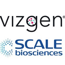 https://global-engage.dev-box.info/wp-content/uploads/2024/04/Vizgen-Scale-Logo-220-1.jpg